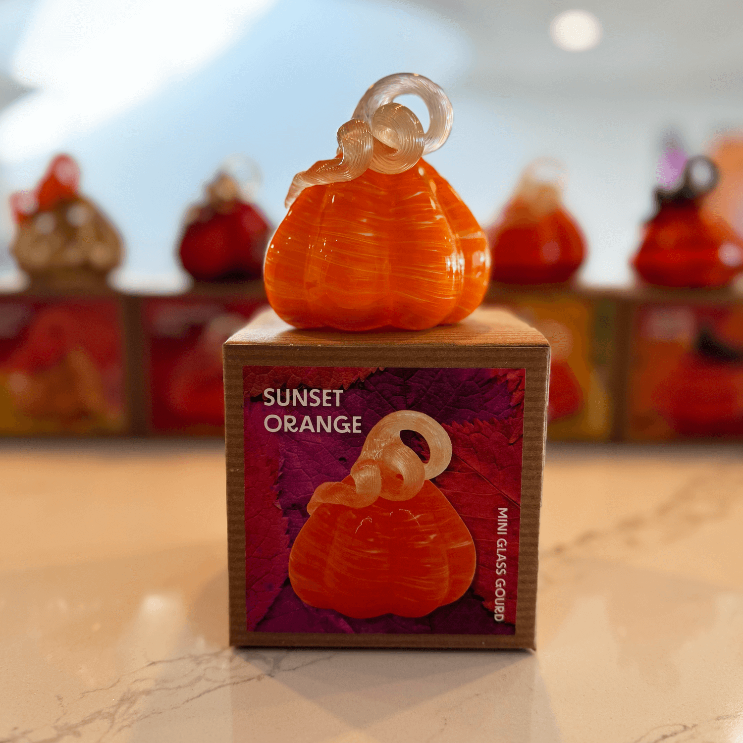 Sunset Orange Mini Gourd